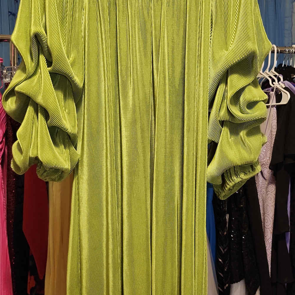 Elegant Lime Long Sleeve Dress